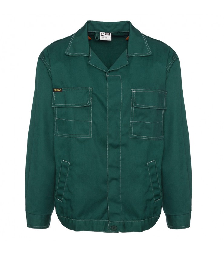 *176B* BLUZA CEZAR ZIELONA